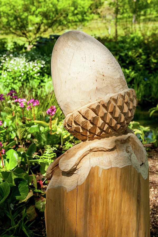 Carved wooden acorn sculpture iii Photograph by Helen Jackson