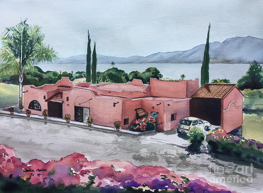Casa Rosa  Painting by Sonia Mocnik