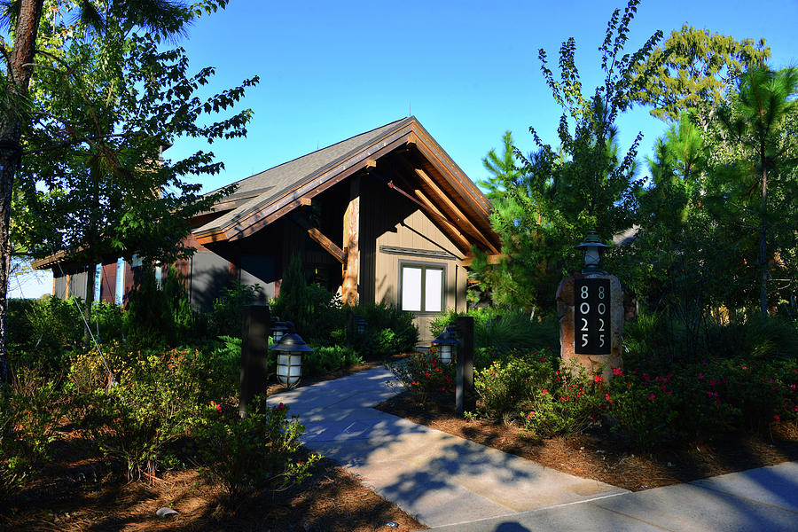 Cascade Cabin 8025 Wilderness Lodge Photograph By David Lee Thompson