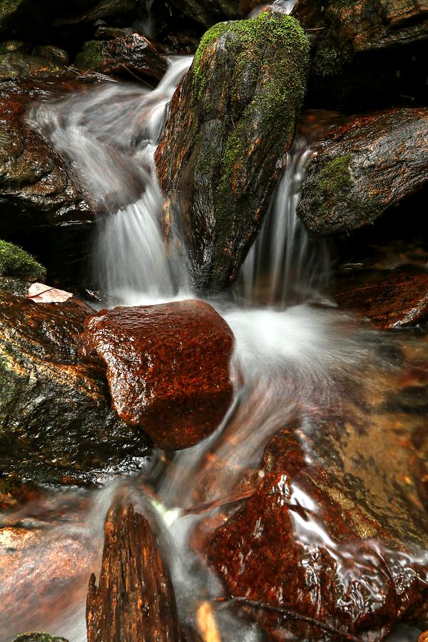 Cascade From Dill Falls Photograph by Carol Montoya