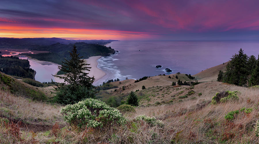 Cascade Head Scenic Area, Oregon Coast Photograph by Leland D Howard