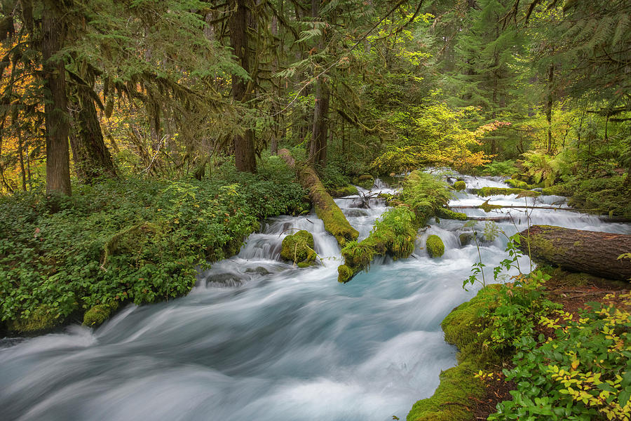 Cascade Mountains,danita Photograph by Janis Miglavs - Fine Art America