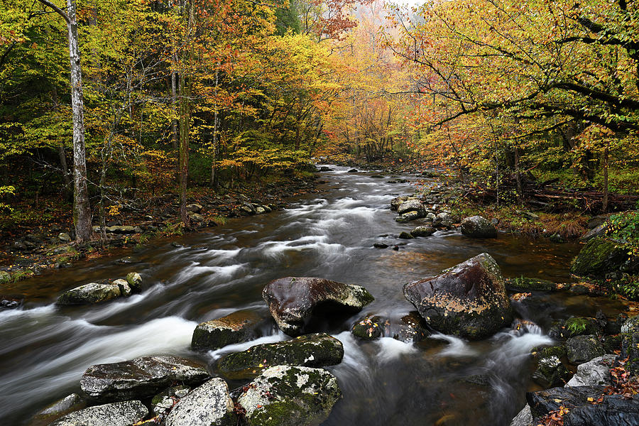 Cascades in Little Pigeon River in the Autumn Photograph by Darrell Young