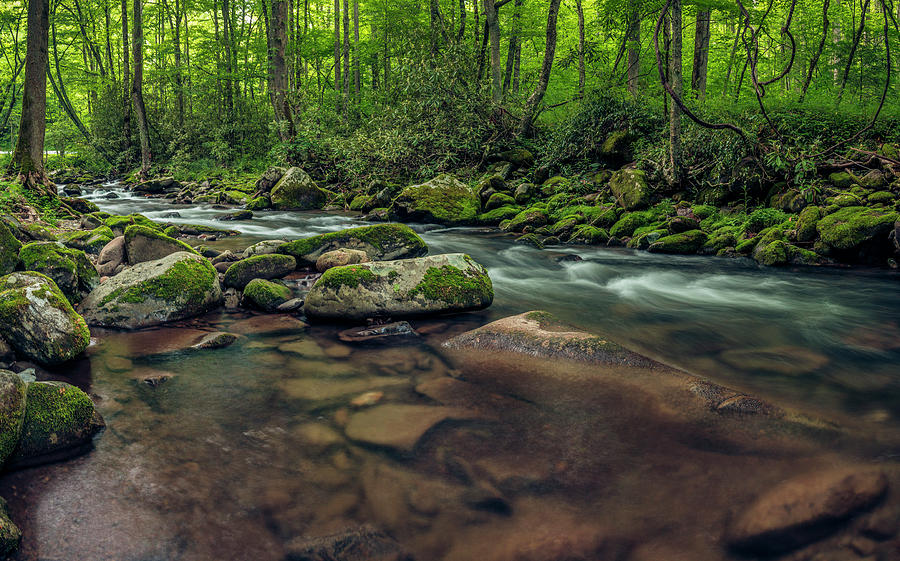 Cascades of the Oconaluftee Photograph by ProPeak Photography