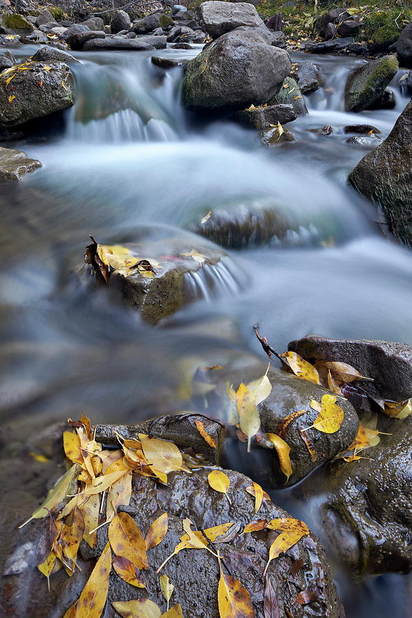 Cascades On The Big Bear Creek In The Photograph By James Hager