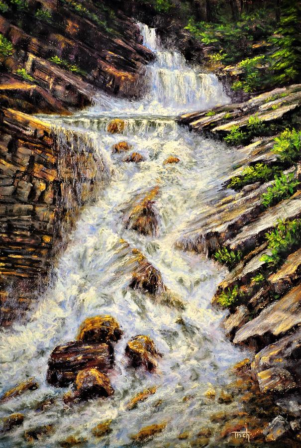 Cascading Creek by Lee Tisch Bialczak Cascading Creek by Lee Tisch Bialczak