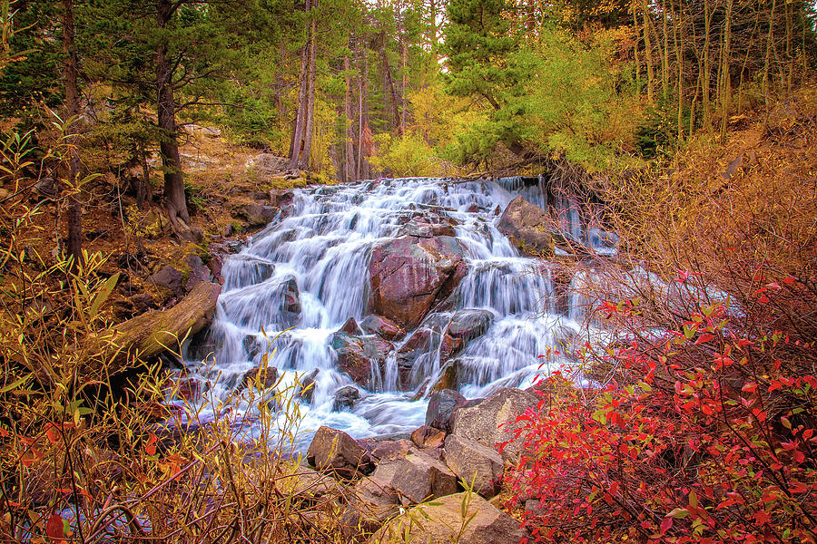 Waterfall Photograph - Cascading Falls in the Sierra by Lynn Bauer
