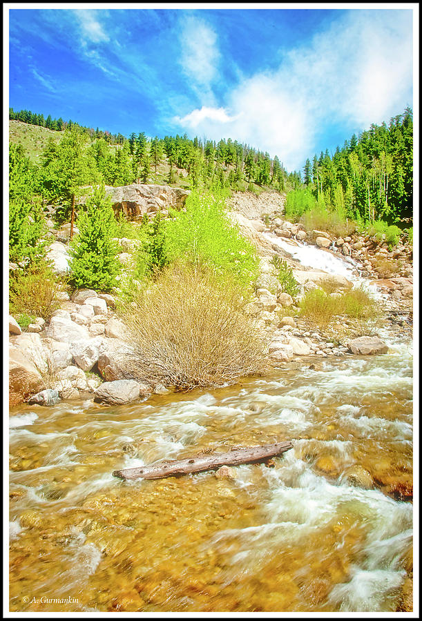 Cascading Stream, Rocky Mountain National Park Photograph by A Macarthur Gurmankin