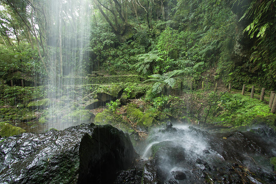 Cascading Water In Lush Subtropical Photograph by Ippei Naoi