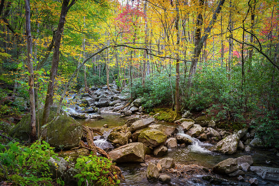 Cascading Waters in Autumn Photograph by Debra and Dave Vanderlaan