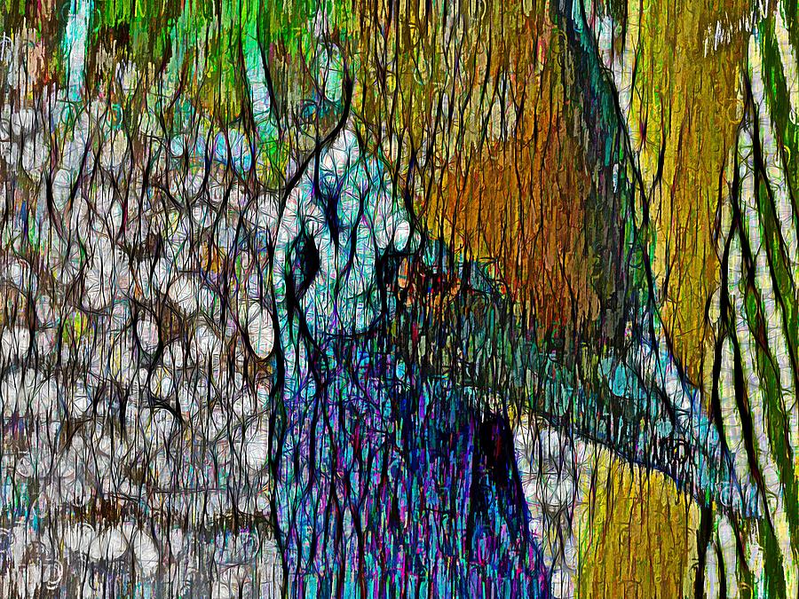Cassowary Bird Portrait Mixed Media by Joan Stratton