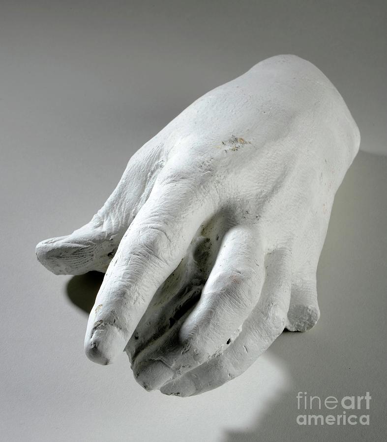 Cast Of A Left Hand Plaster Photograph by Thomas Mewburn Crook