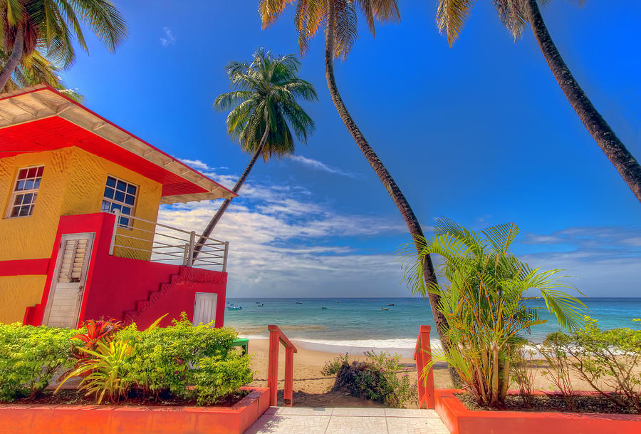 Castara Bay, Tobago by Nadia Sanowar Castara Bay, Tobago by Nadia Sanowar