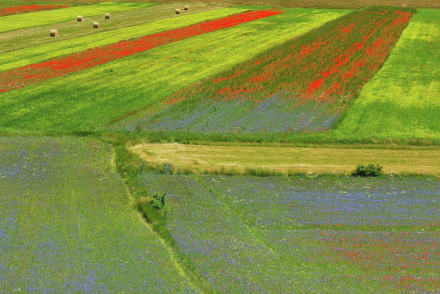 Castelluccio Plains Photograph by Vittorio Ricci - Italy