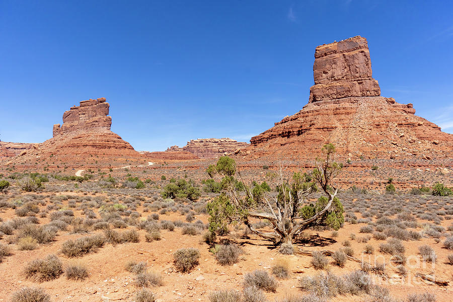 Castle Butte and other formations in Valley of the Gods near Mex Photograph by William Kuta