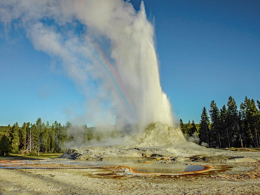 Castle Geyser by Teri Lee Castle Geyser by Teri Lee
