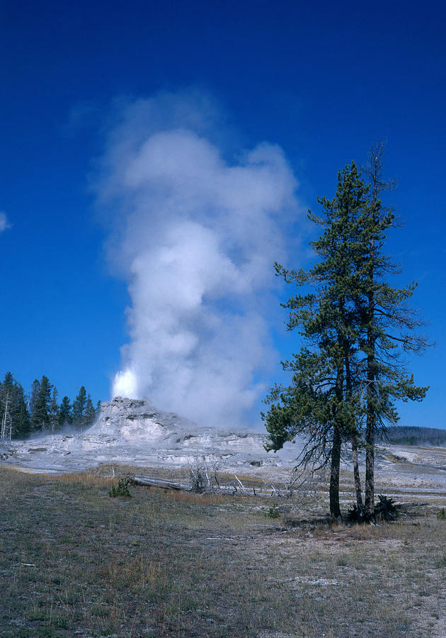 Castle Geyser, Yellowstone Photograph by David Hosking