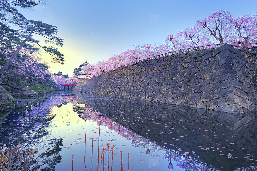 Castle In Spring Photograph by Photo By Glenn Waters In Japan