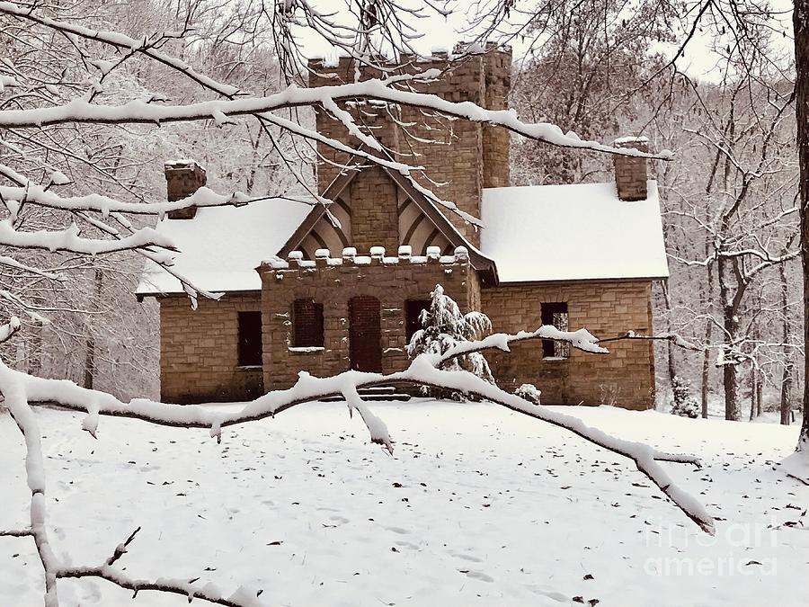 Castle In The Woods Photograph