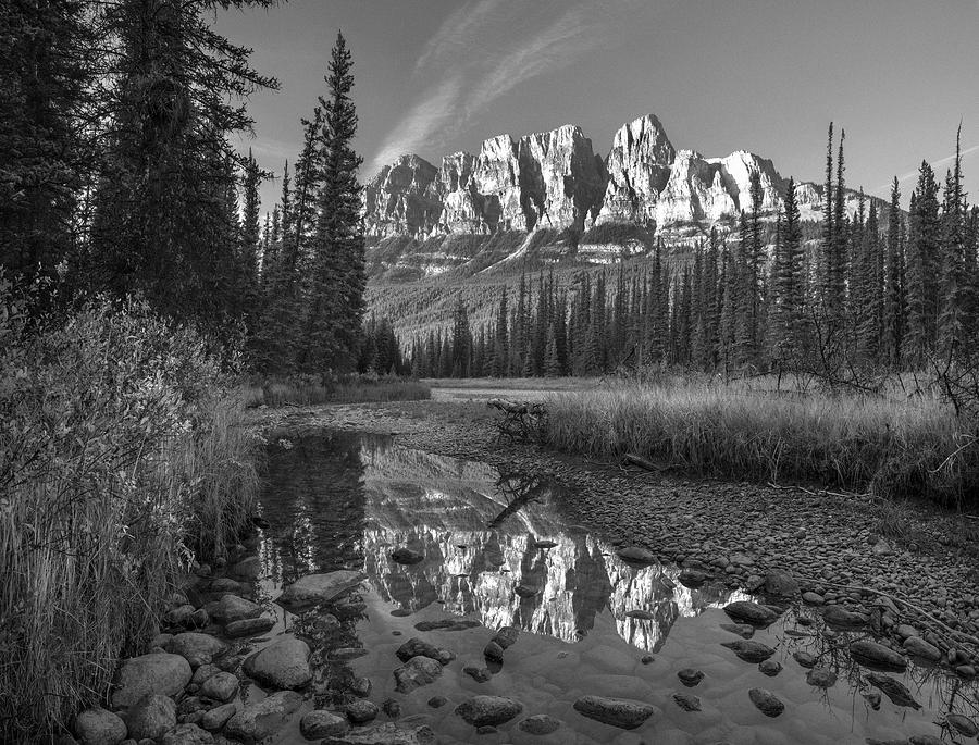 Castle Mountain And Athabasca River Photograph by Tim Fitzharris