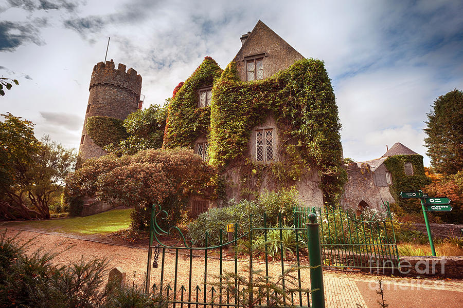 castle near Dublin by autumn  Photograph by Ariadna De Raadt