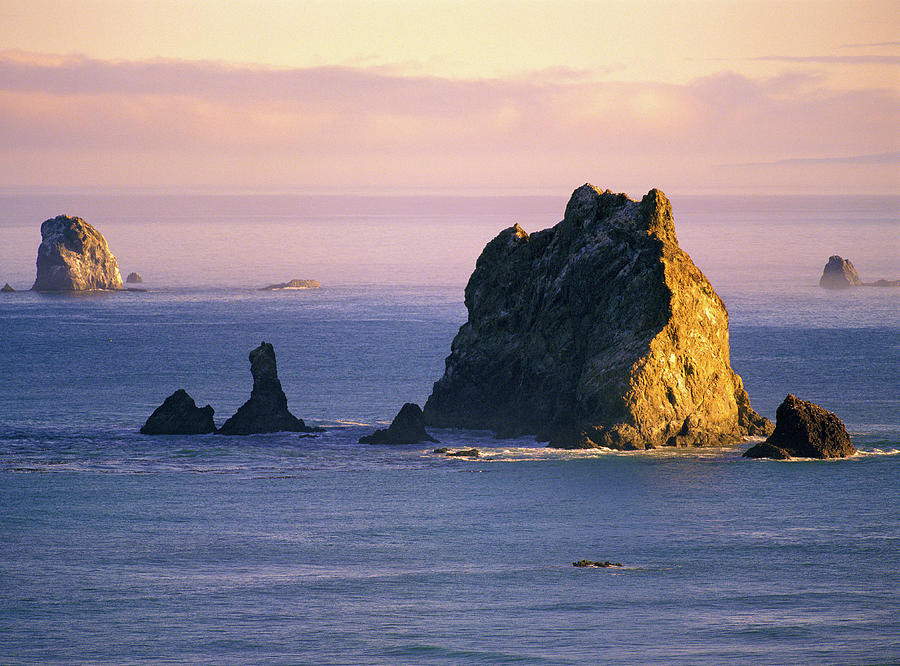 Castle Rock On The Oregon Coast Photograph by Laurance B. Aiuppy