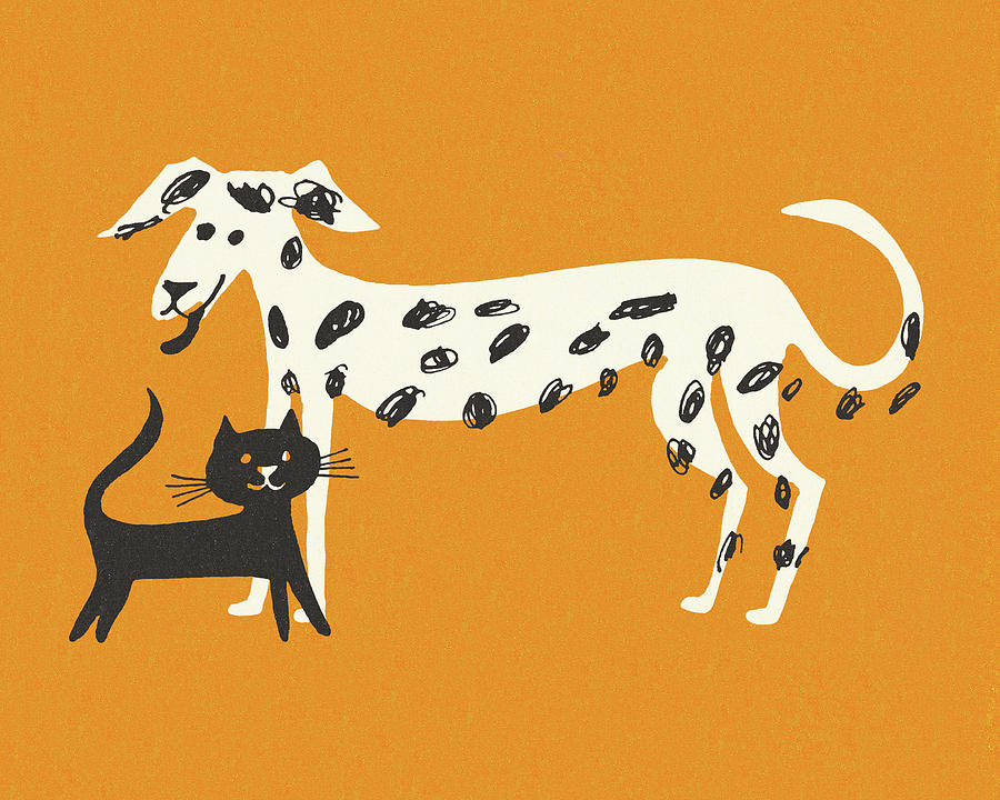 Vintage Drawing - Cat and Dog by CSA Images