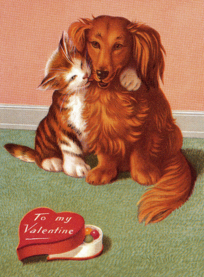 Candy Drawing - Cat and Dog Valentine by CSA Images