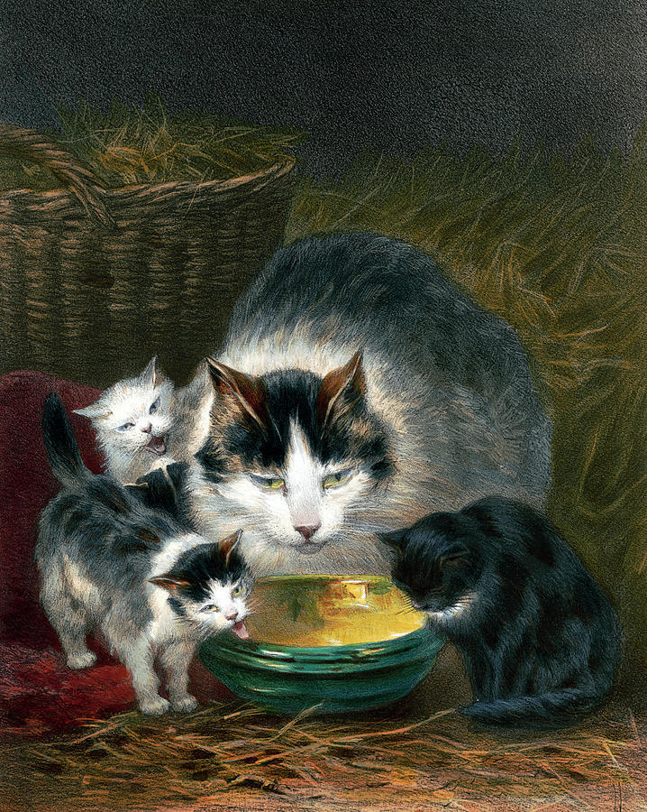 Cat and kittens Painting by Henriette Ronner