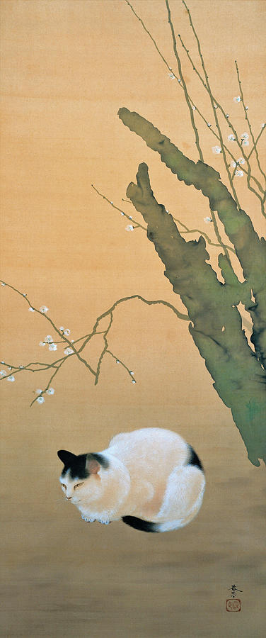 Cat Painting - Cat and Plum Blossoms - Digital Remastered Edition by Hishida Shunso