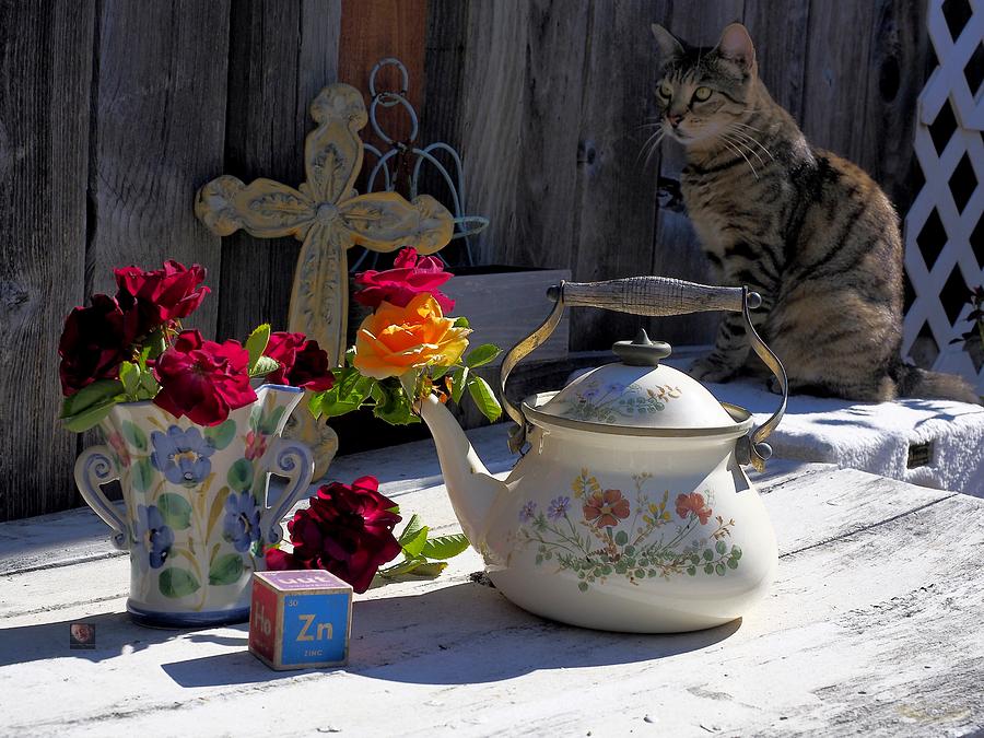 Cat and Still Life Photograph by Richard Thomas