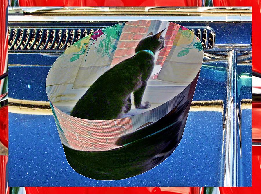 Cat as a cylinder Digital Art by Karl Rose