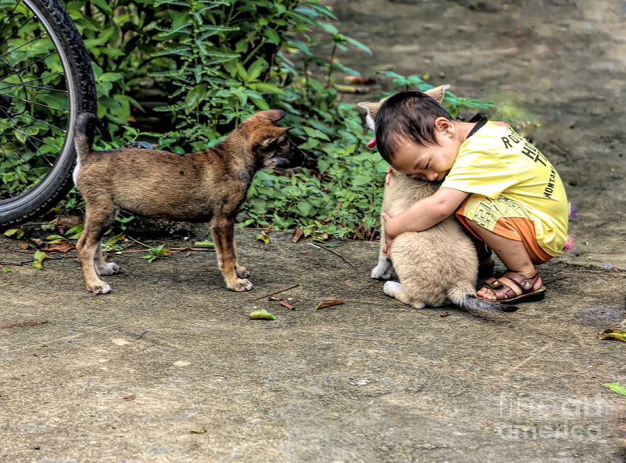 Cat Ba Island Hugs 2 Dogs Boy.  Photograph by Chuck Kuhn