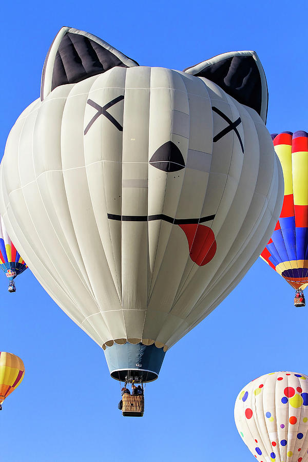 Cat Balloon Photograph by Deborah Penland