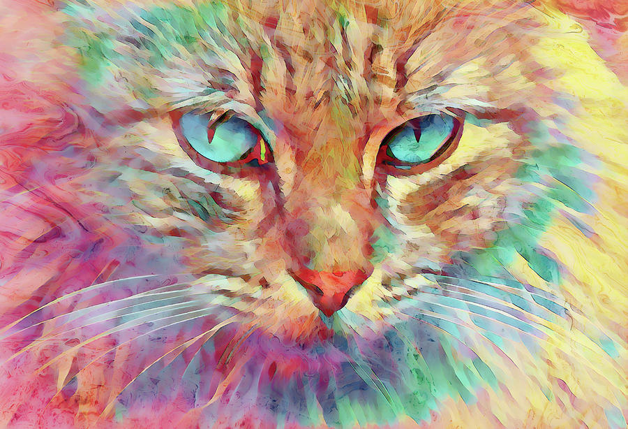 Cat Blue Eyes Painted Digital Art by Terry Davis