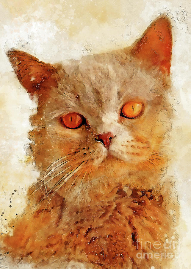 Cat Charlie Digital Art by Justyna Jaszke JBJart