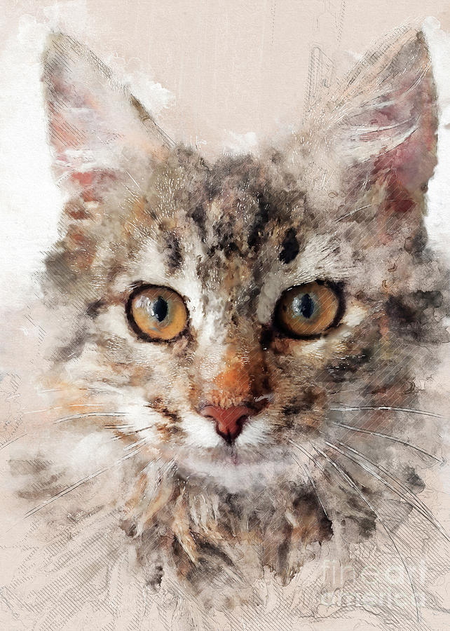 Cat Cinder Digital Art by Justyna Jaszke JBJart