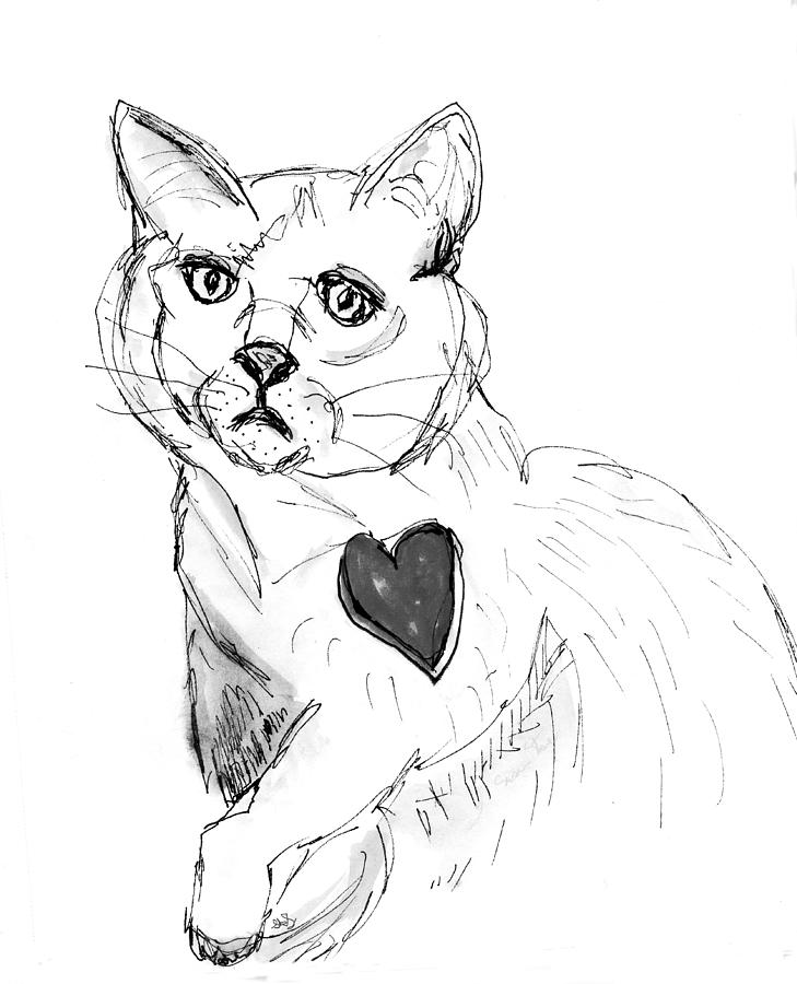 Cat Heart Drawing by Susan Stone Pixels