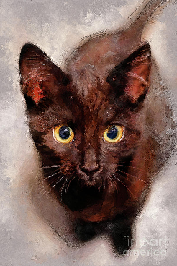 cat Hera black cat Digital Art by Justyna Jaszke JBJart