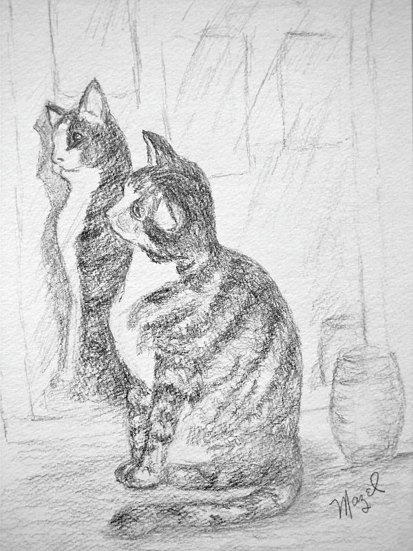 Cat in Mirror Drawing by Mazel Linowitz - Fine Art America