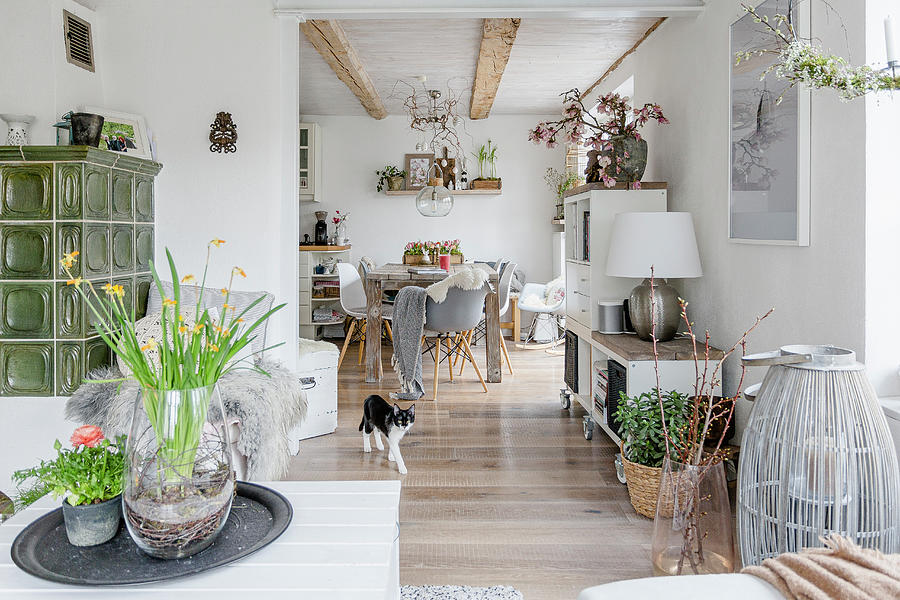 Cat In Open-plan Interior In Modern Country-house Style Photograph by Christel Harnisch