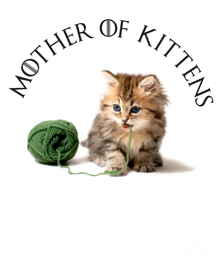 cat lady gift