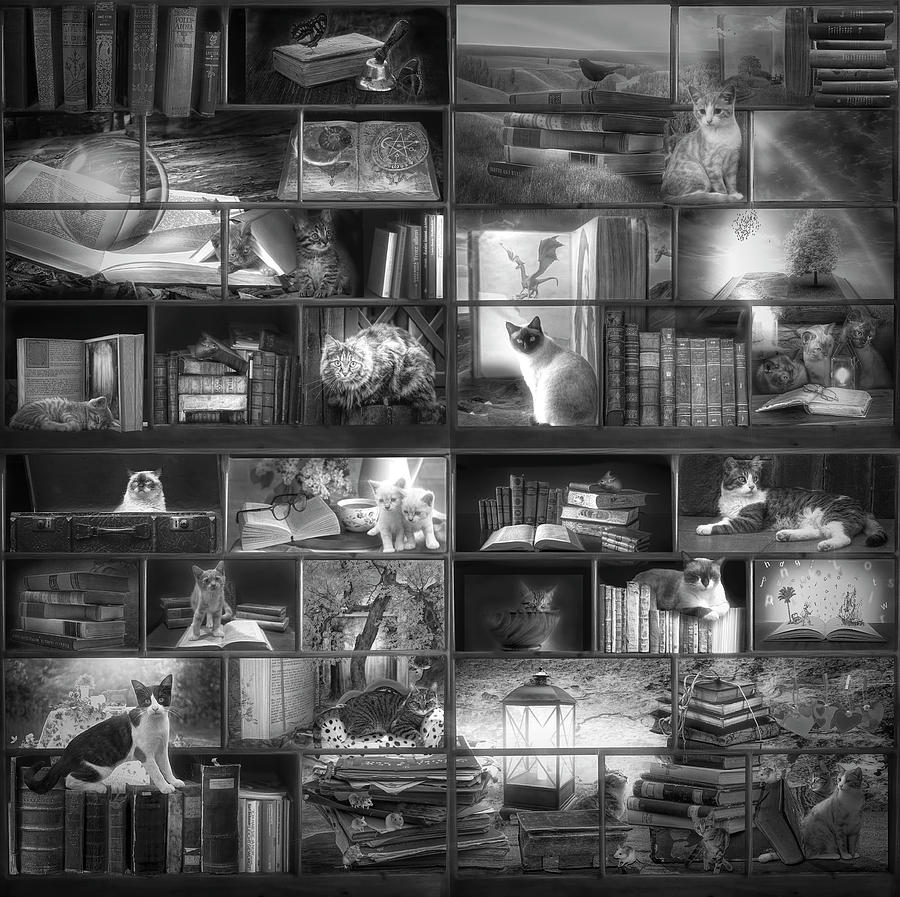 Cat Lovers Library in Black and White Digital Art by Debra and Dave Vanderlaan