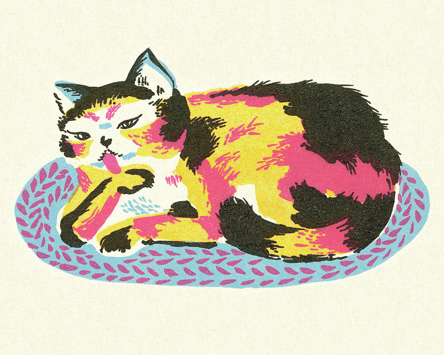 Vintage Drawing - Cat Lying on a Rug by CSA Images