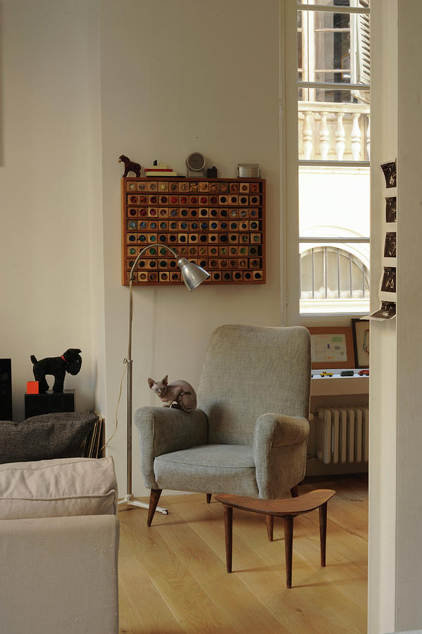 Cat On Grey Armchair, Standard Lamp And Side Table In Period Apartment Photograph by Michele Mulas