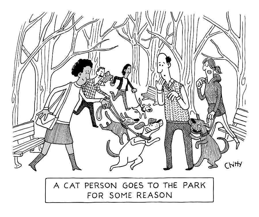 Cat Person In The Park Drawing by Tom Chitty