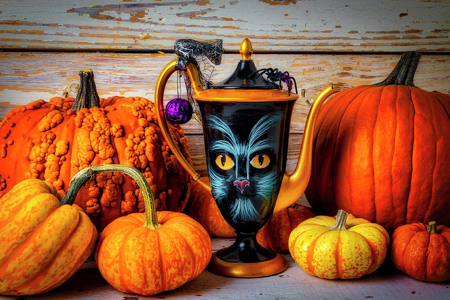 Cat Pitcher With Pumpkins Photograph by Garry Gay