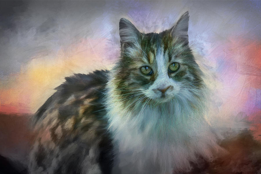 Cat Poise Digital Art by Terry Davis