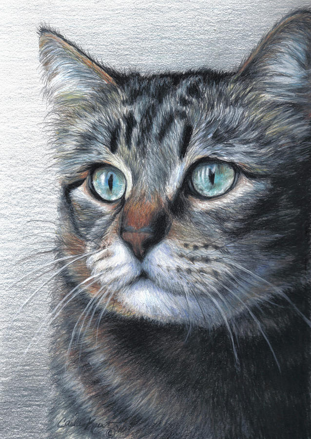 Animal Painting - Cat Portrait by Carla Kurt