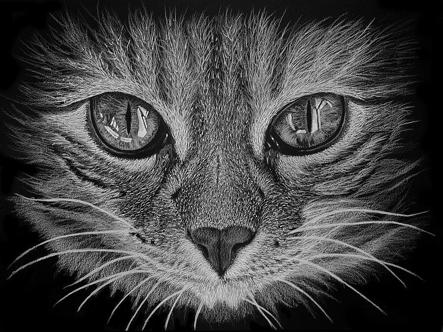 Cat Portrait Drawing by Jeff Burcher